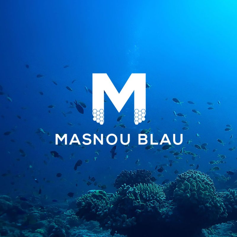 MASNOU BLAU HOME - 2